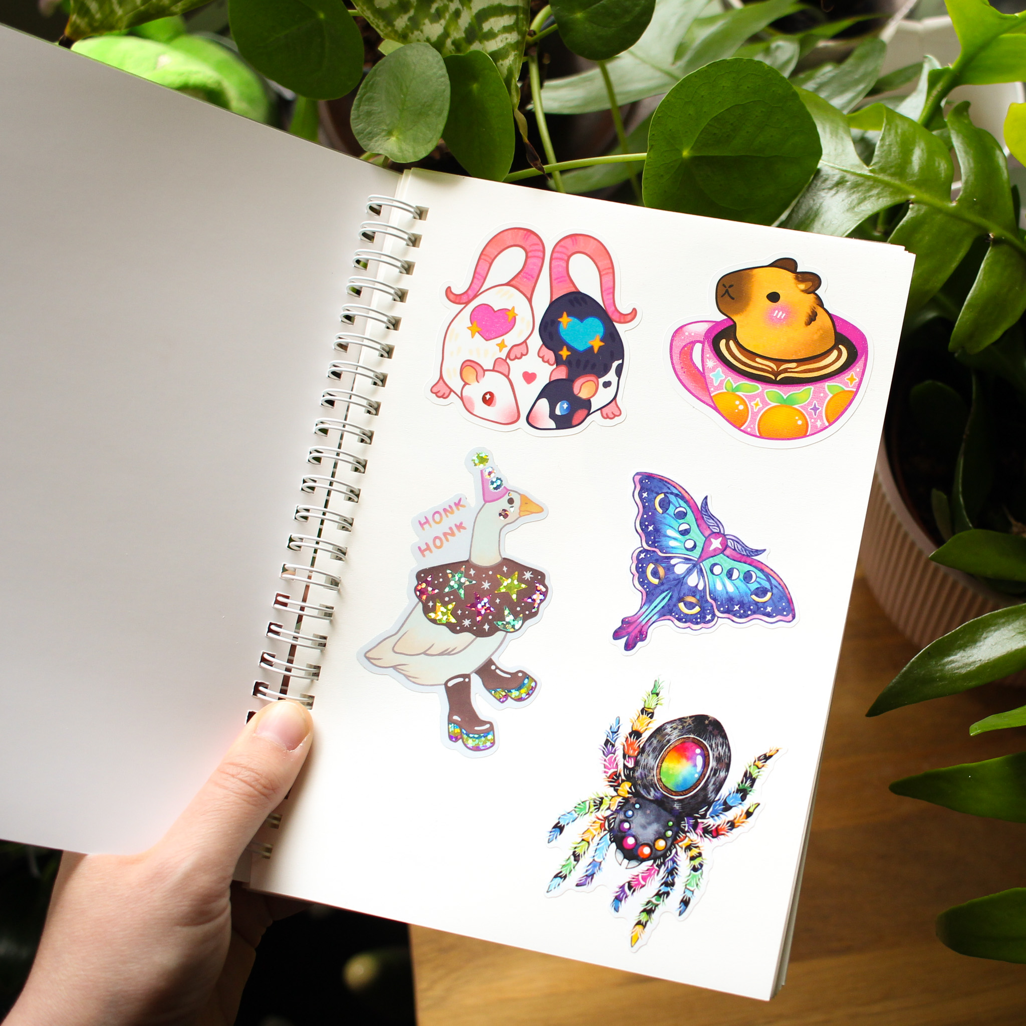 Sticker Collector Tarrakirja - Image 4