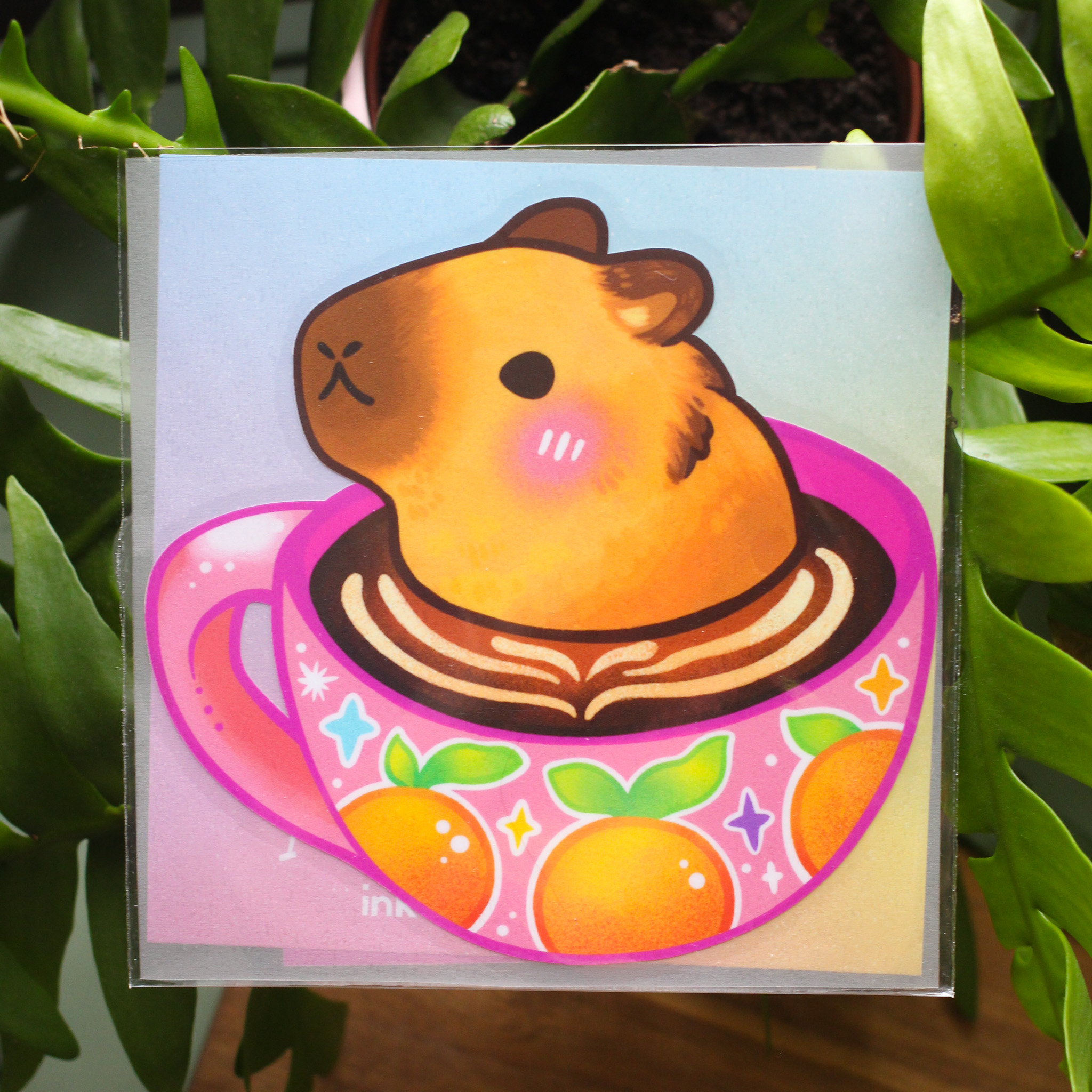 Cappyccino Silityskuva