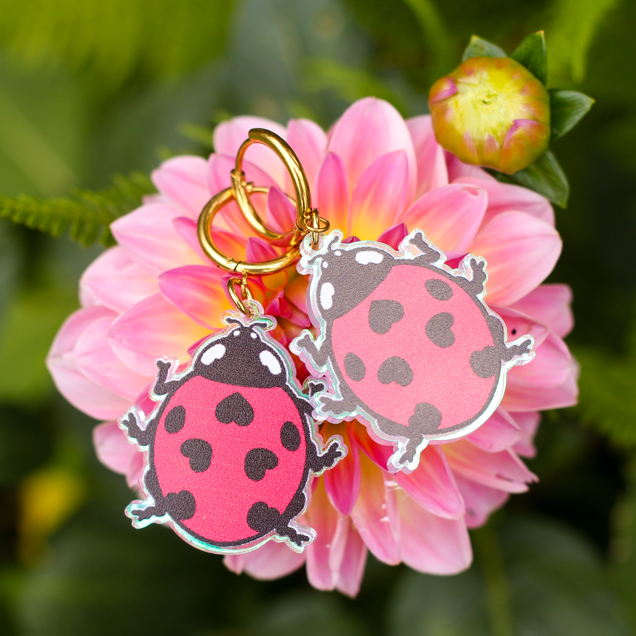 Ladybug Korvikset - Image 3