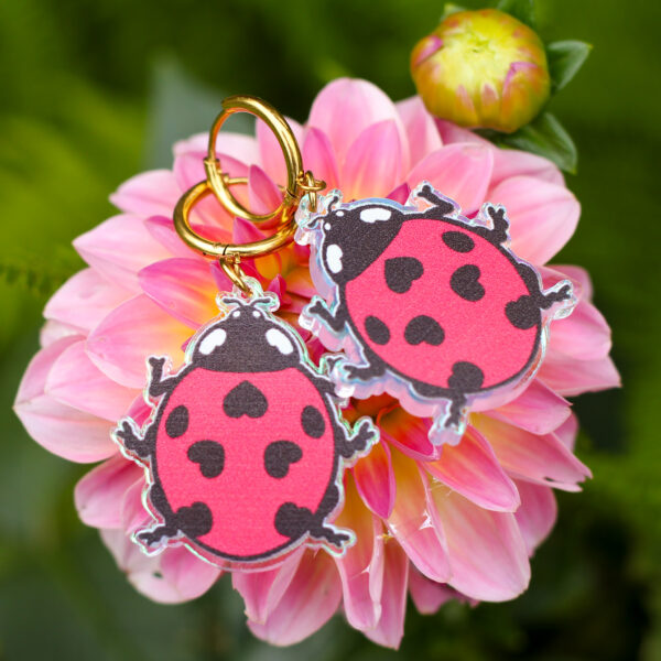 Ladybug Korvikset