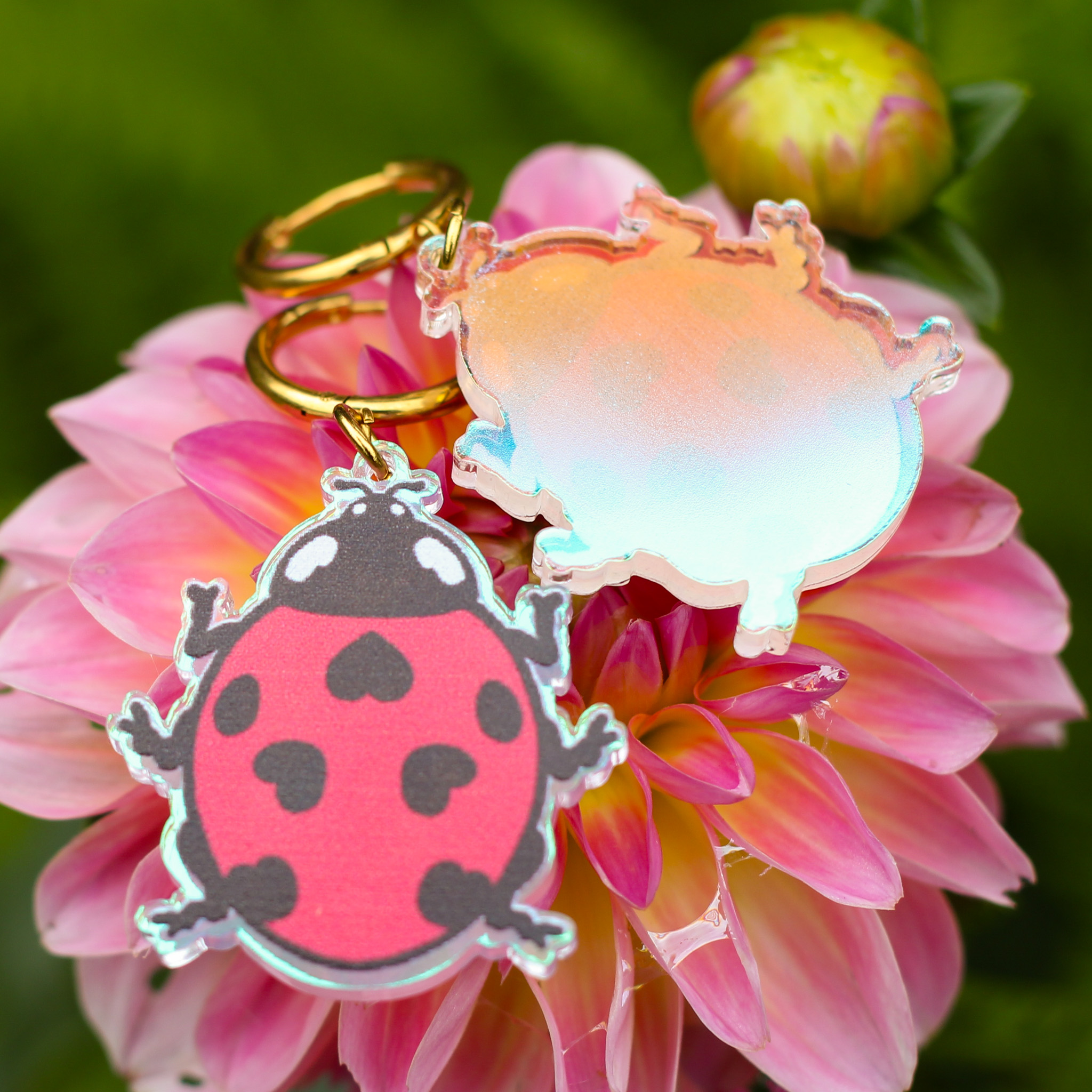 Ladybug Korvikset - Image 2